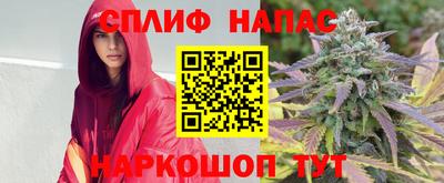 apvp Камышлов