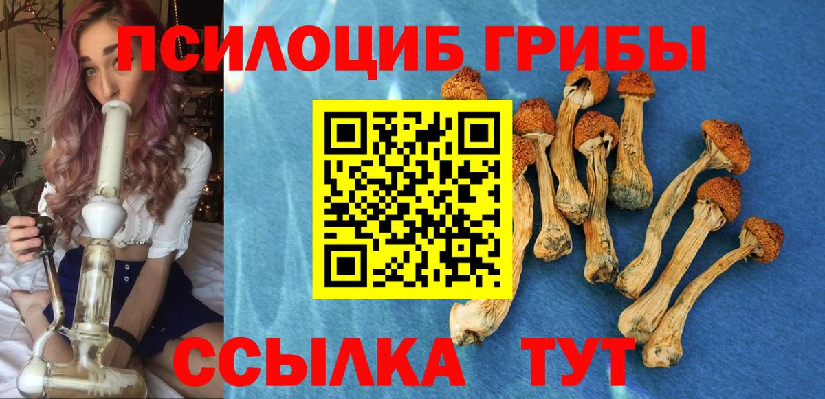 Галлюциногенные грибы прущие грибы Лабытнанги